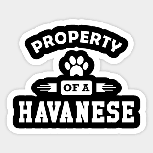 Havanese Dog - Property of a havanese Sticker